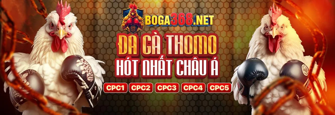 Hình ảnh đá gà 36win